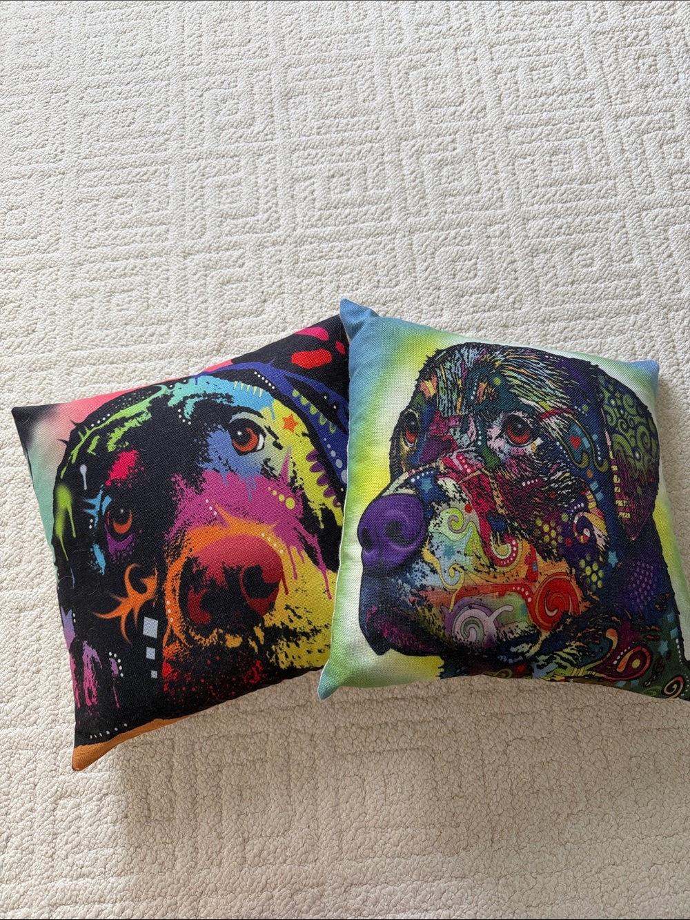 2 Labrador Face Throw Pillows